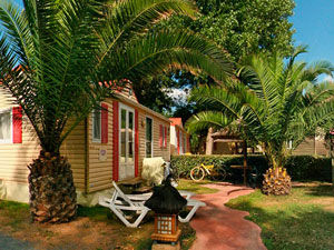 cottage46p2chVIPafrica