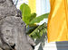 cottage6p3chBalistatue2