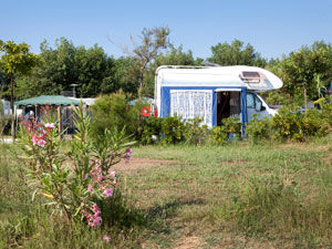 Emplacement-plage-3-fleurs