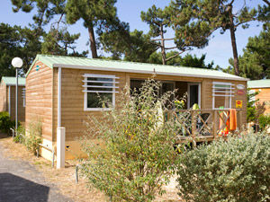 cottage-4P2CH-3-fleurs-PATIO-ext